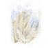 20-22mm Sheep/Lamb Casings, A/B Quality, Tubed image 0