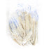 22-24mm Sheep/Lamb Casings, A-Quality, Tubed image 0