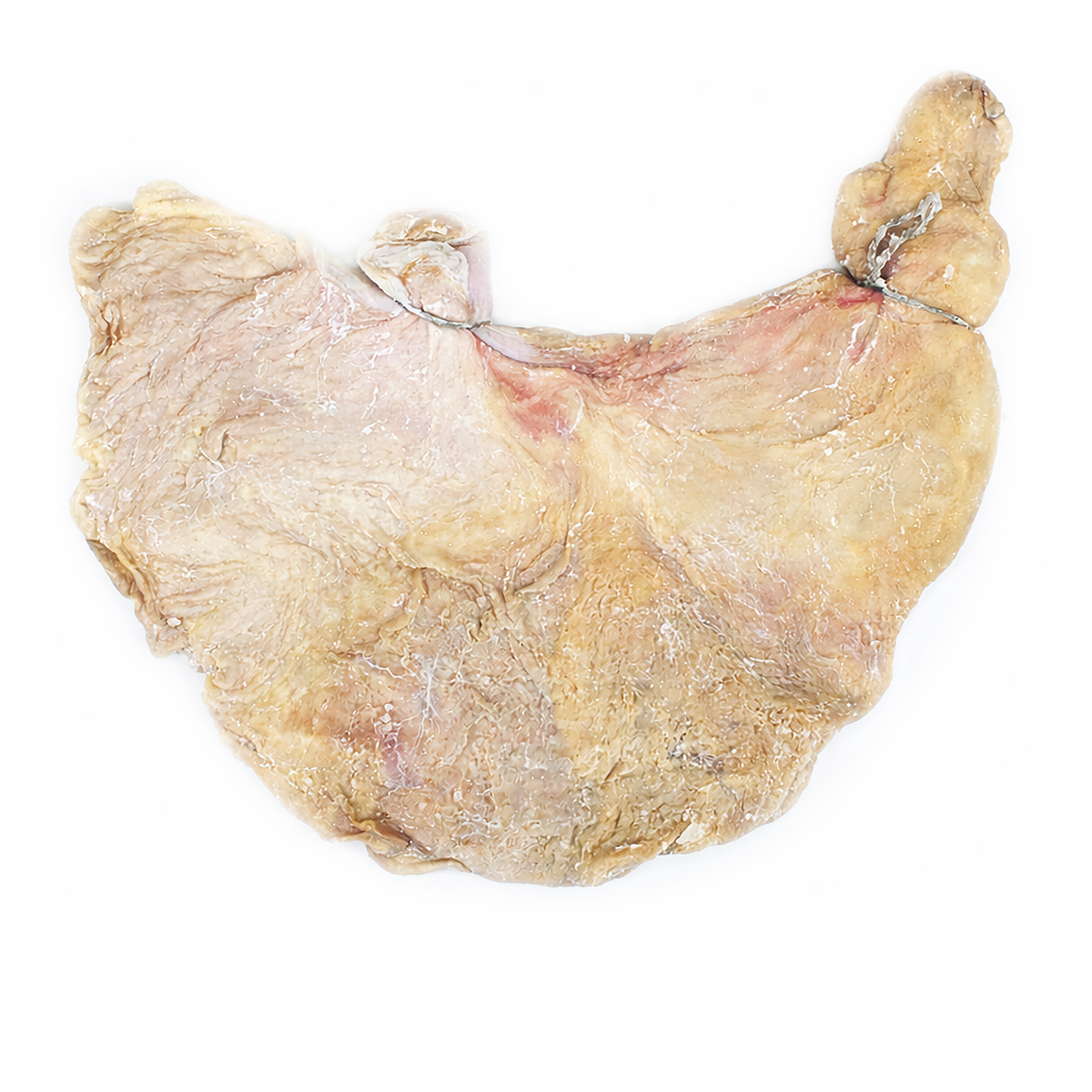 Hog Stomachs, Tied, Large