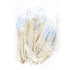 28-30mm Sheep/Lamb Casings, A-Quality, Tubed image 0